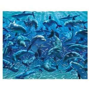  Visual Echo 3D Effect Fun with Dolphins 3D Mini Lenticular 
