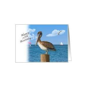  Birthday, 77th, Pelican and Seascape Card: Toys & Games