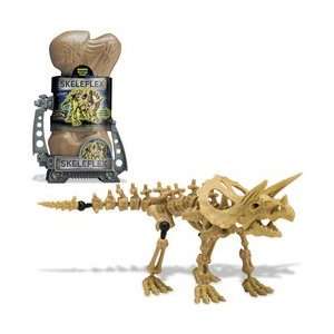  Dino D   Triceratops: Toys & Games