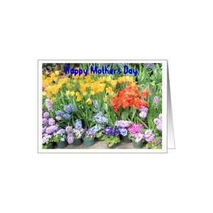  Mother inlaw Mothers Day flower garden Card Health 