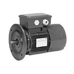   Brake, 0.75 Hp, 3 Phase, 1145 Rpm Motor, Br34s3a3: Home Improvement