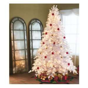 White Spruce 66 Tree, 1264 Tips, 550 Lights:  Kitchen 