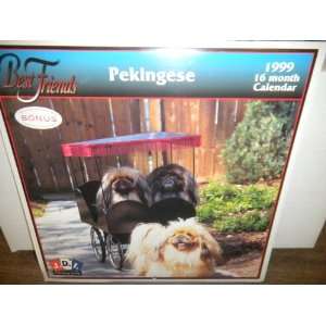    Pekingese   Best Friends 1999 16mth Calendar 