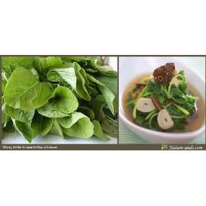  Nature Seeds White Amaranth Leaves / Chinese Spinach 1000 
