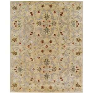  Jaipur Rugs PM 5 2 x 3 sand Area Rug: Home & Kitchen