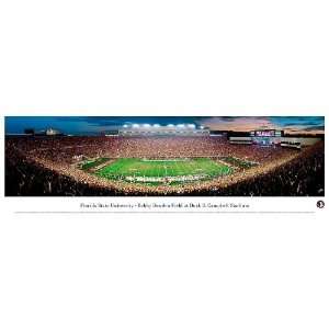  Doak Campbell Stadium Panoramic Print