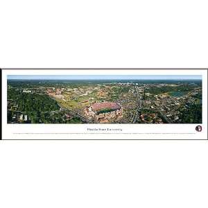 Florida State UniversityNCAA Football Panoramic Print from 