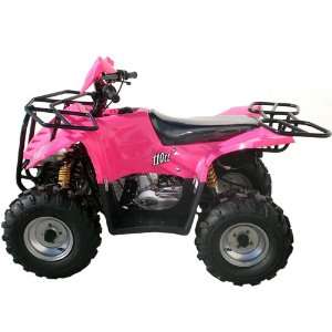  110cc Full Size ATV with Automatic Transmission! Remote 