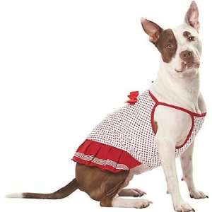 Petco Pup Crew Red Dot with Bow Dog Dress, Large: Pet 