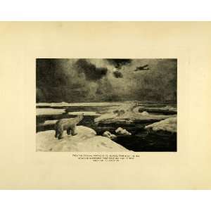   Government Amundsen Ice   Original Photogravure: Home & Kitchen