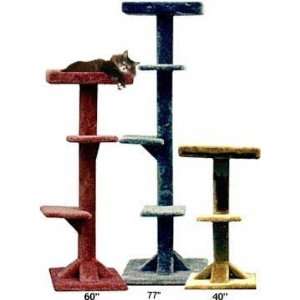  Open Tray Cat Tree : Color LIGHT GREY : Size 60 INCH: Pet 