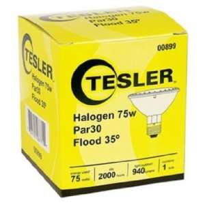  Tesler PAR30 75 Watt Flood Light Bulb: Home Improvement