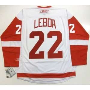 Brett Lebda Detroit Red Wings Rbk Jersey Real Large   Sports 