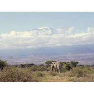  Amboseli Game Reserve and Mount Kilimanjaro, Kenya, East 