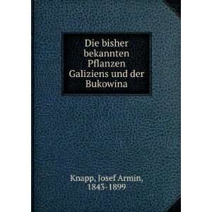   und der Bukowina: Josef Armin, 1843 1899 Knapp:  Books