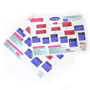  Xies TCVM Clinic Chart Lung