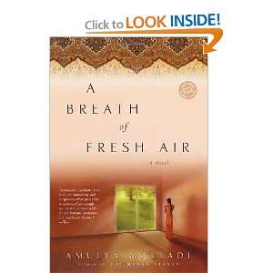   Air (Ballantine Readers Circle) [Paperback]: Amulya Malladi: Books