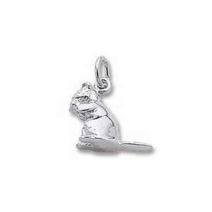  Chipmunk Charm   Sterling Silver: Jewelry