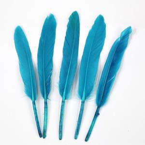200 goose feather Dye color feather Length 10 15cm  