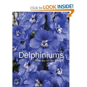  Delphiniums [Hardcover]: David Bassett: Books