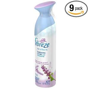   Eliminating Air Freshener, 9.7 Ounce (Pack of 9): Health & Personal