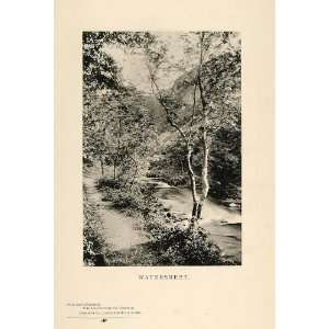  1901 Print Landscape Watersmeet North Devon England 