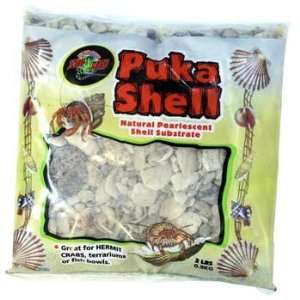  Puka Shell Natural pearl Chips 2 Lbs: Pet Supplies