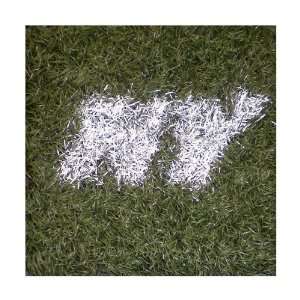  New York Jets Game Used Turf: Sports & Outdoors