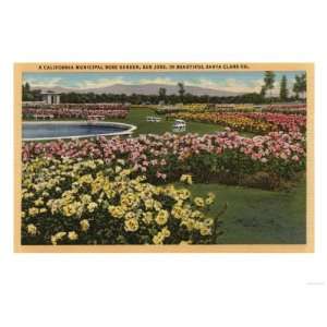 San Jose, California   View of the Municipal Rose Garden Giclee Poster 