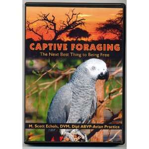  Captive Foraging DVD