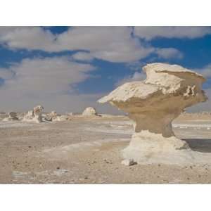 Wind Eroded Sculptures of Calcium Rich Rock, the White Desert Near 