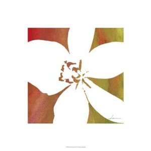   Peace Flowers II   Poster by James Burghardt (13x19)