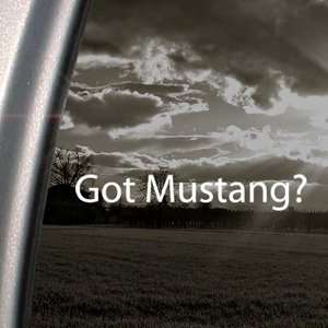  Got Mustang? Decal Horse Breed Pony Window Sticker 