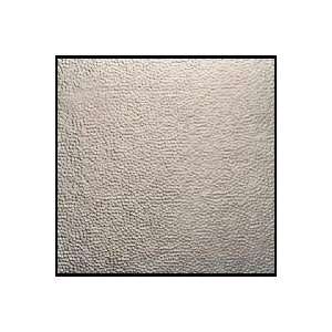   TIN CEILING PANEL HAMMERED FILLER NAIL UP CLEAR: Home & Kitchen