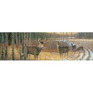  Wild Wings Series Whitetail Country Window Graphics from 