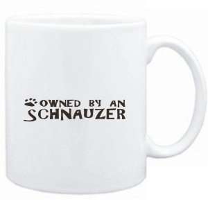  Mug White  OWNED BY Schnauzer  Dogs: Sports & Outdoors