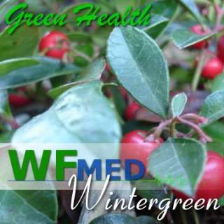 32oz Wintergreen Pure Essential Oil Wholesale MORE SIZE  