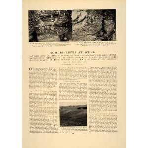   Earth Science Nature Crops Plants Agriculture   Original Print Article
