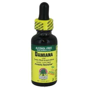  Natures Answer Damiana Leaves Alcohol Free 1 oz Health 