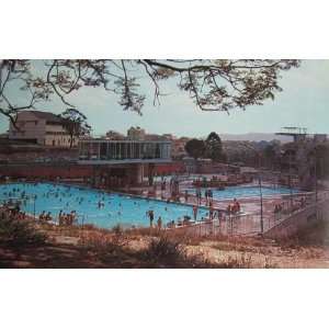   Postcard   Centenary Swimming & Diving Pool, Victoria Park, Brisbane