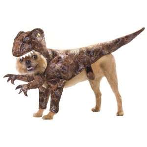  Lets Party By California Costumes Animal Planet Raptor Pet 