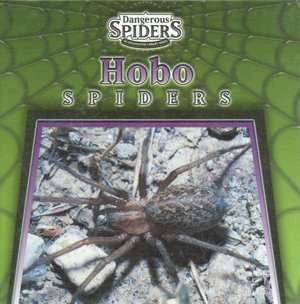   Spiders Series) by Eric Ethan, Gareth Stevens Publishing  Hardcover