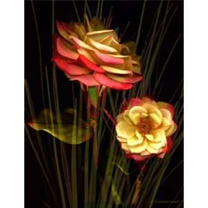 Red Rose Bouquet Wall Mural