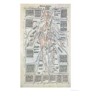Surgical Diagram of the Anatomy of Man, from Fasciculus Medicinae by 