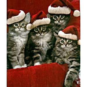   Greetings Large Cats in Santa Hats Gift Bags
