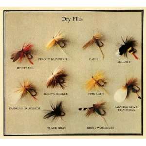  1931 Print Dry Flies Fishing Hunting McGinty Woodruff Game 