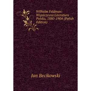   Literatura Polska, 1880 1904 (Polish Edition) Jan Becikowski Books