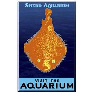  Shedd Aquarium Visit the Aquarium, Puffer Fish Poster 