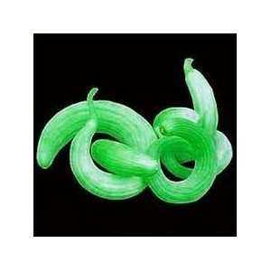  Cucumber Snake, Armenian Cucumber Seeds 10 Rare Seeds By 