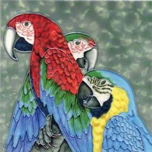  Art Center BD 2080M Three Parrots w/ Grey Background 8 x 8 